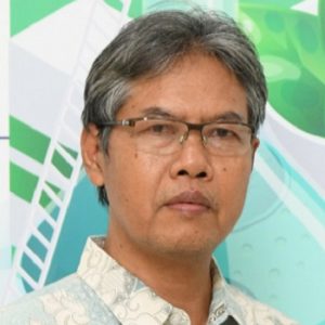 Prof. Dr. Ir. Rokhani Hasbullah, M.Si